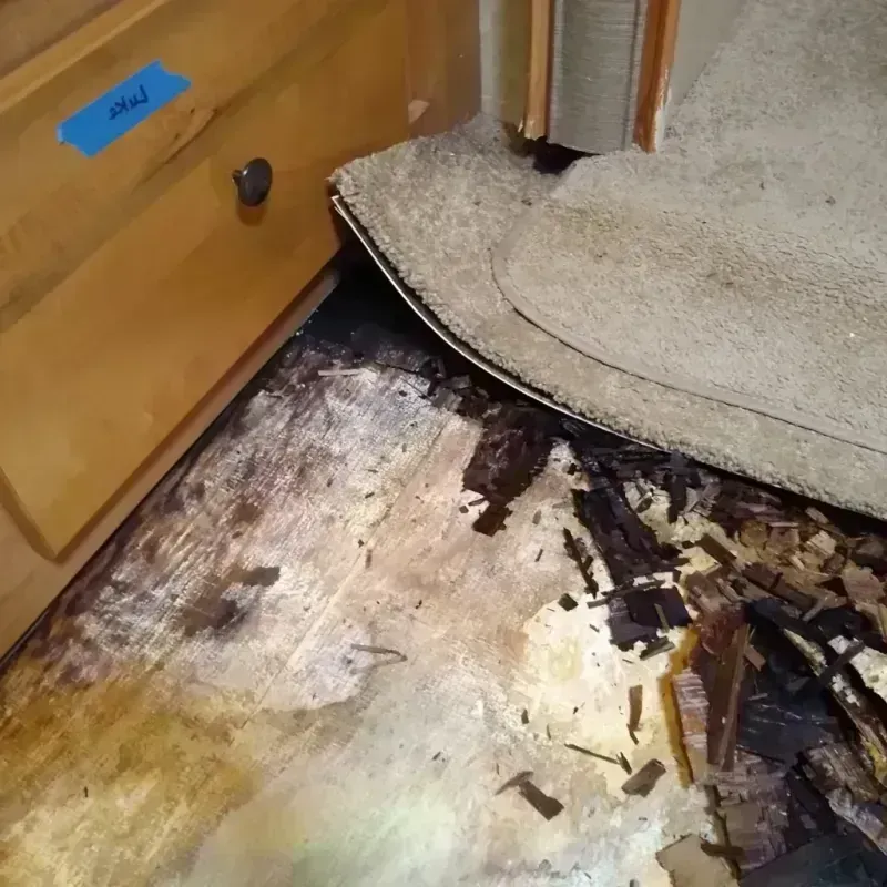 Wood Floor Water Damage in Peoria, AZ